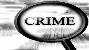 Image result for crime control