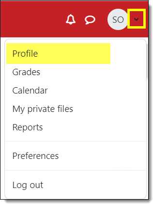 Screenshot of profile link in user menu