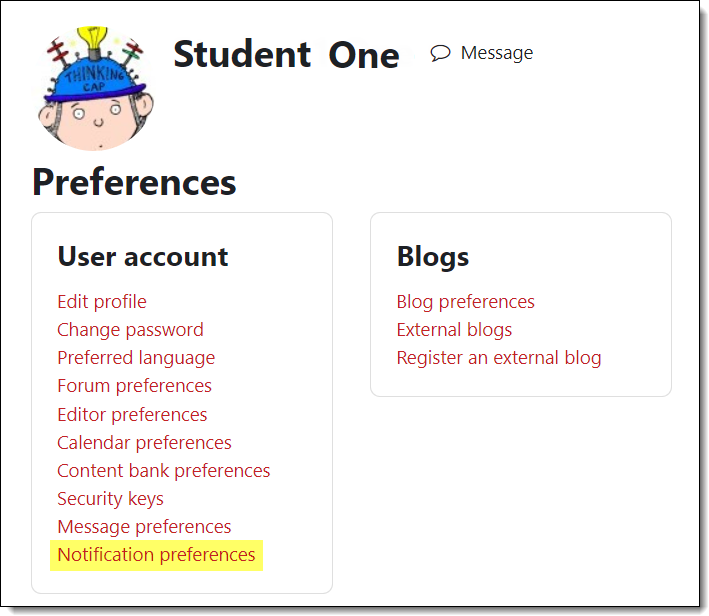 Screenshot of preferences interface
