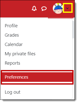 Screenshot of user menu with Preferences highlighted